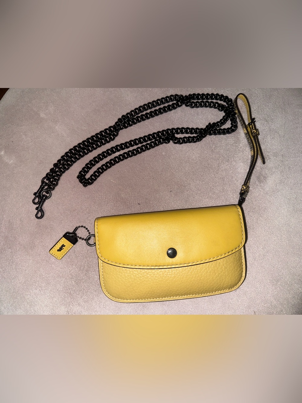 Coach Yellow Leather Crossbody Chain Bag w/python